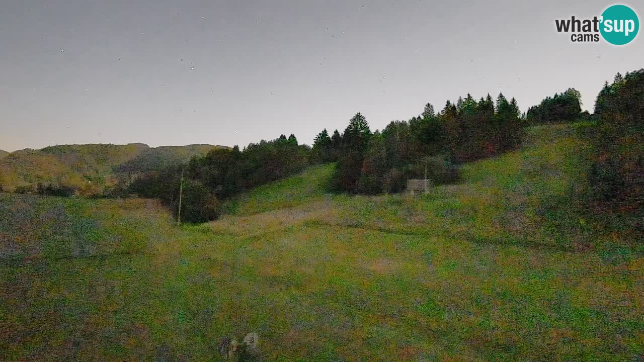 Webcam Smučišče Senožeta – Ski Resort Live View near Bohinj