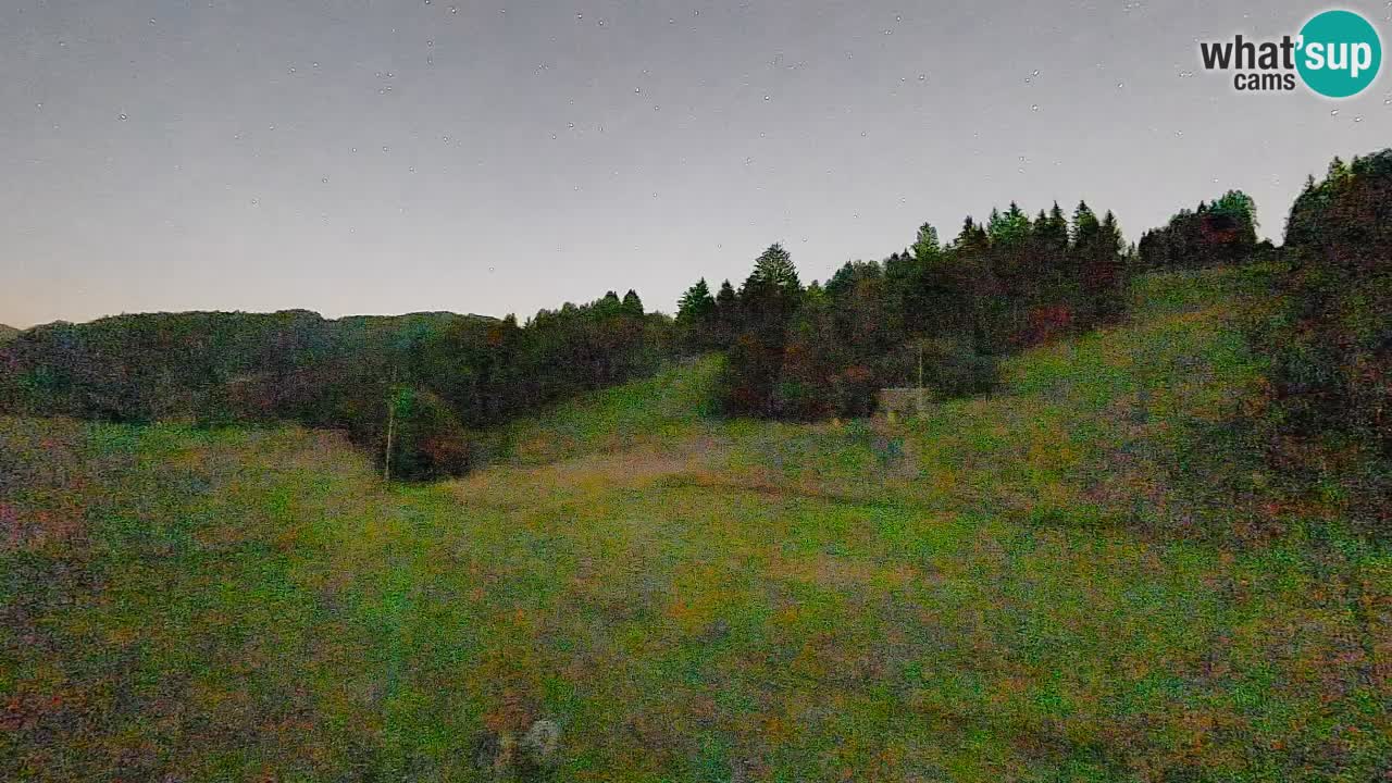 Webcam Smučišče Senožeta – Stazione sciistica a Srednja Vas vicino Bohinj