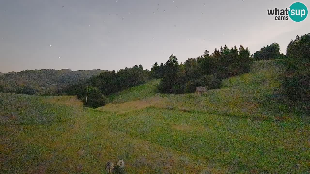 Webcam Smučišče Senožeta – Ski Resort Live View near Bohinj