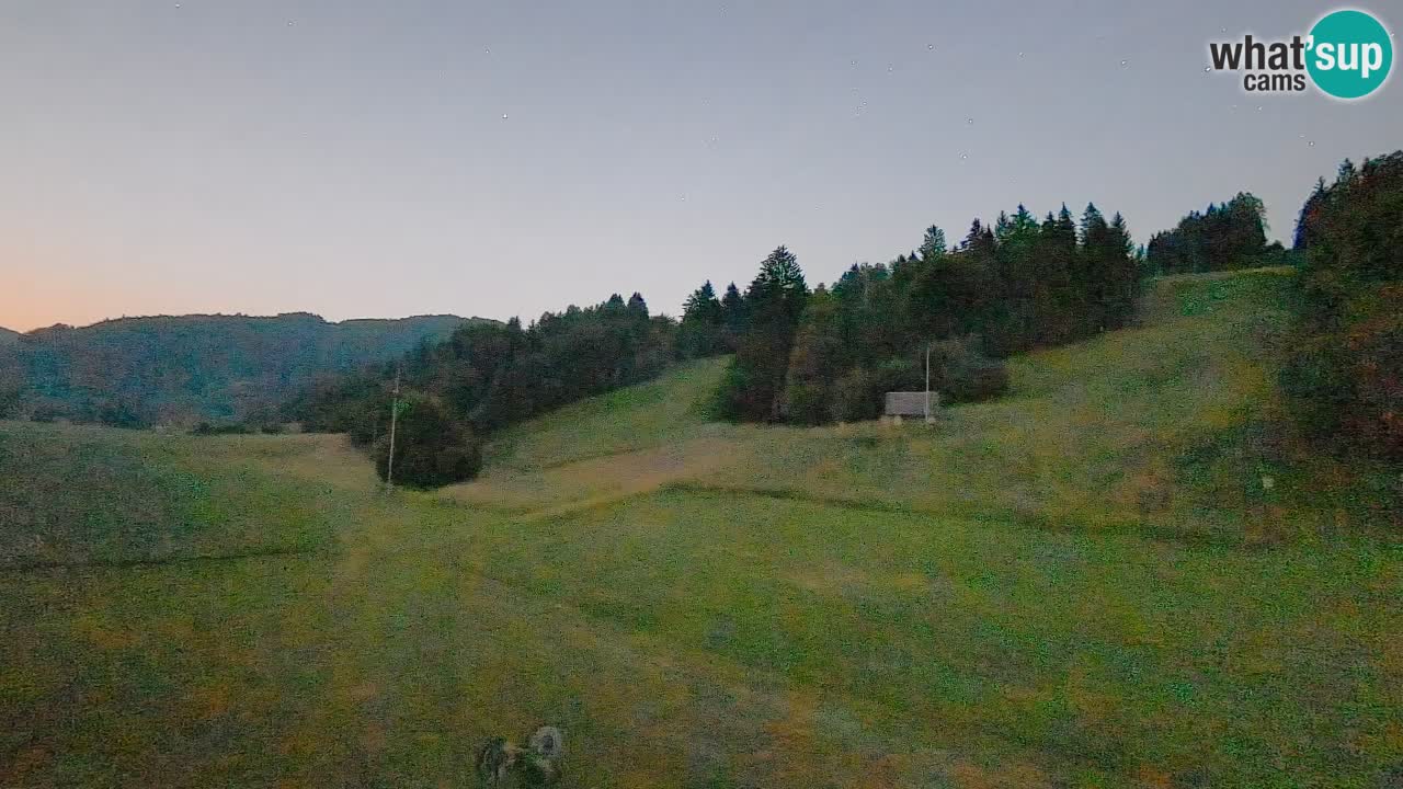 Webcam Smučišče Senožeta – Ski Resort Live View near Bohinj
