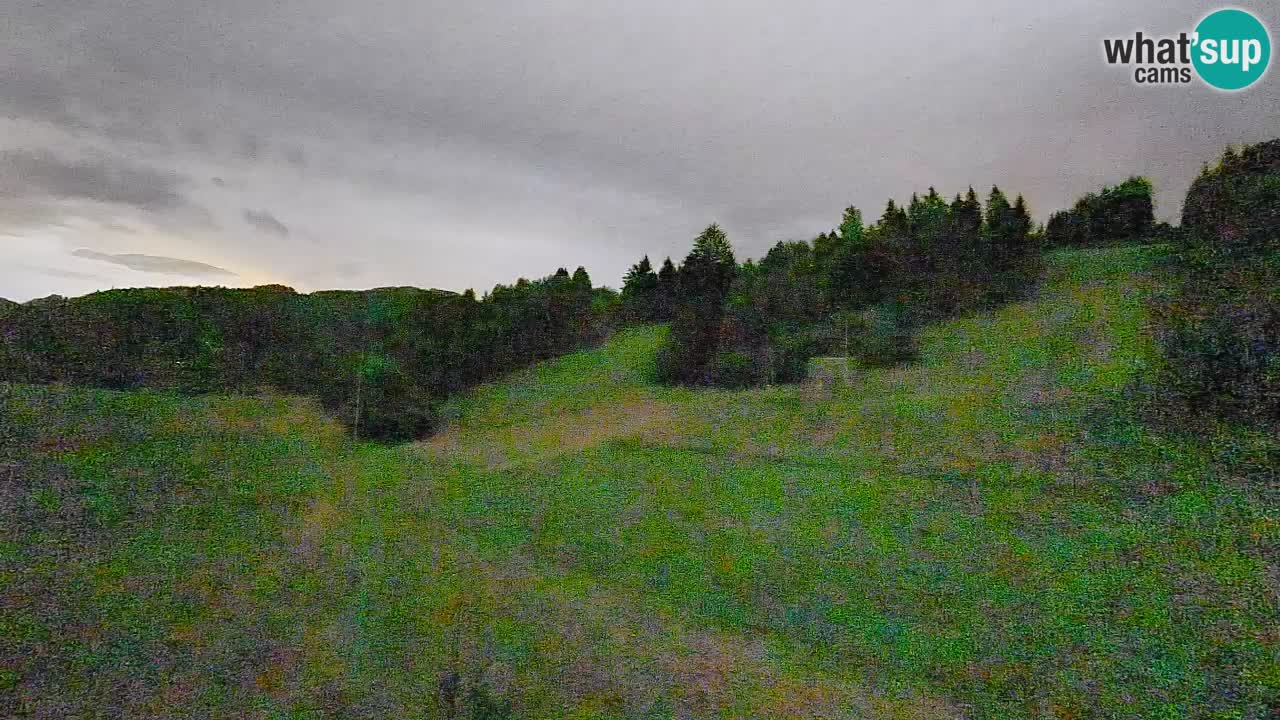 Cámara web Smučišče Senožeta – Estación de esquí en Srednja Vas cerca de Bohinj