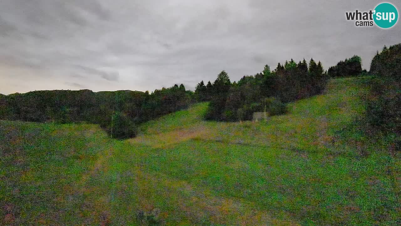 Webcam Smučišče Senožeta – Skigebiet in Srednja Vas bei Bohinj