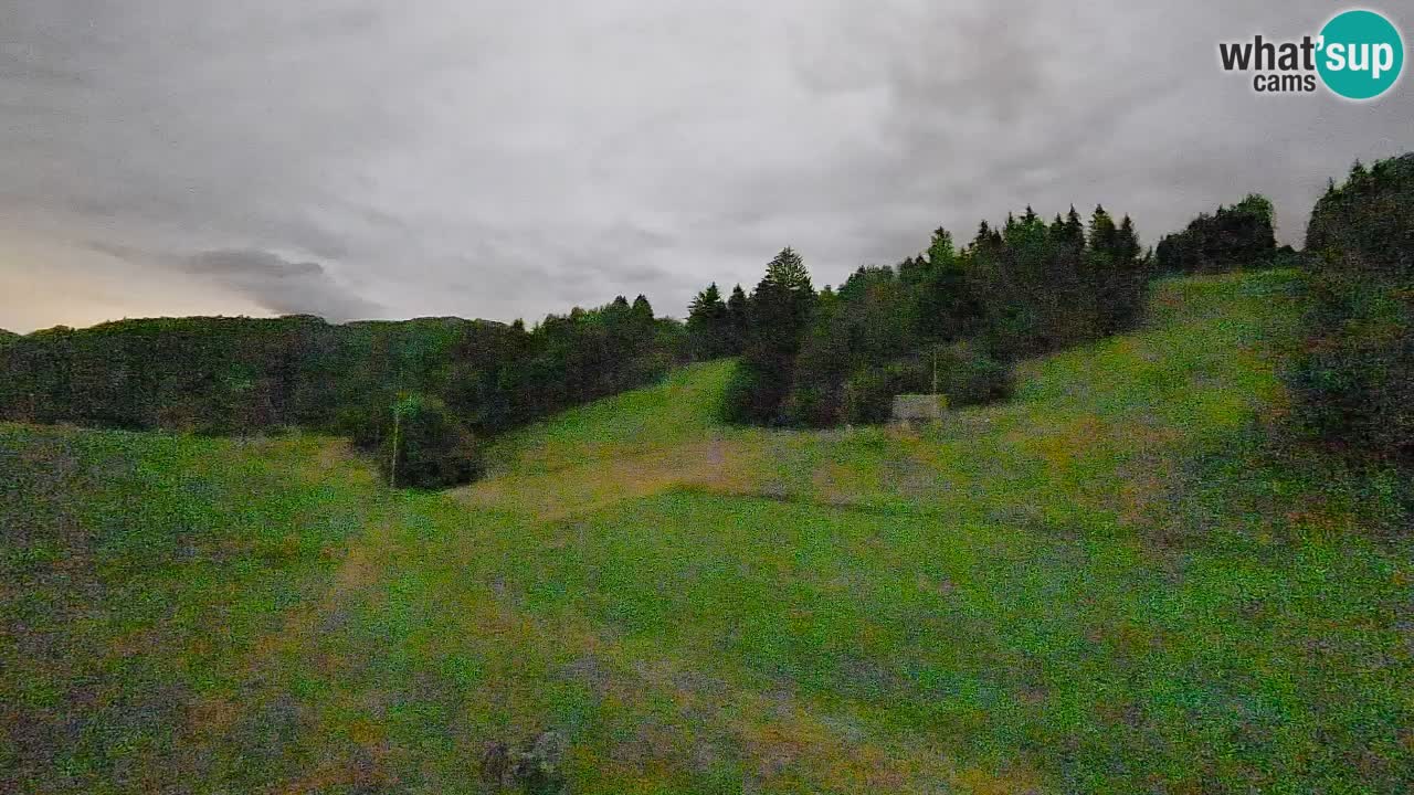 Webcam Smučišče Senožeta – Ski Resort Live View near Bohinj