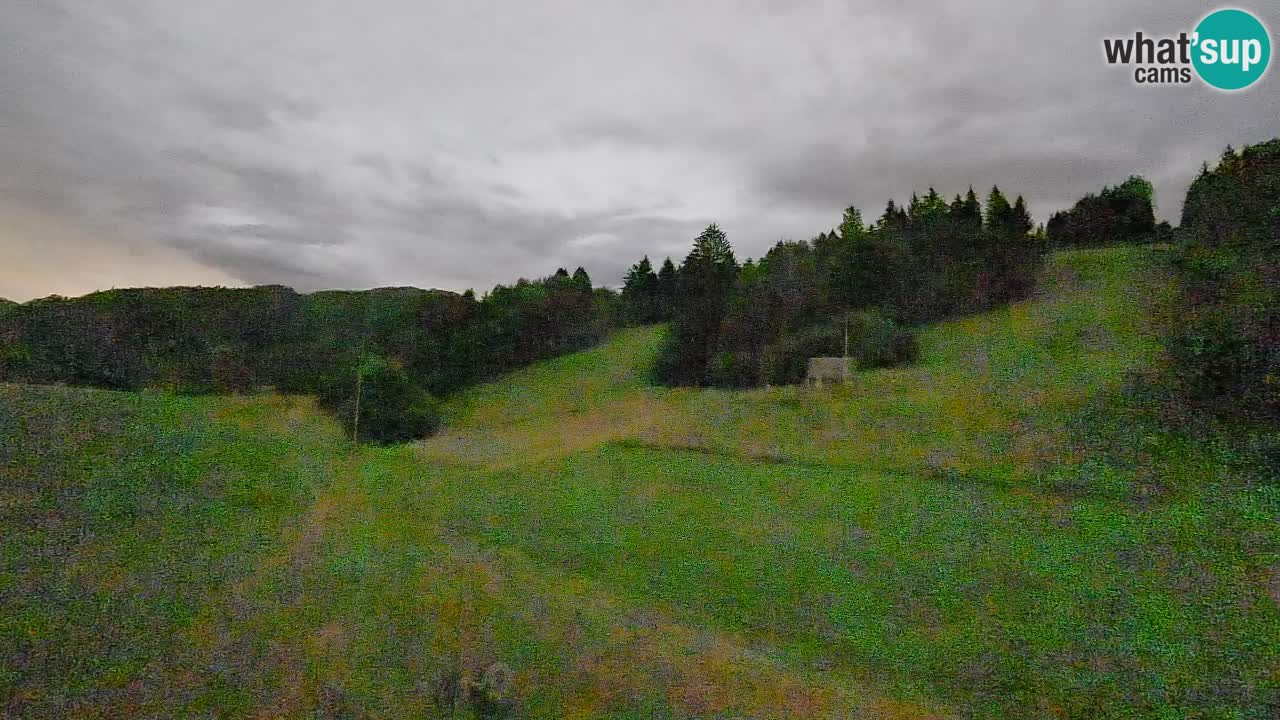 Webcam Smučišče Senožeta – Ski Resort Live View near Bohinj