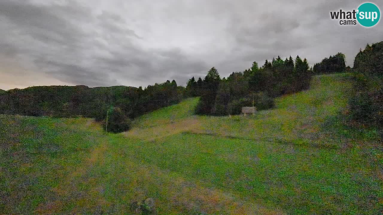 Cámara web Smučišče Senožeta – Estación de esquí en Srednja Vas cerca de Bohinj