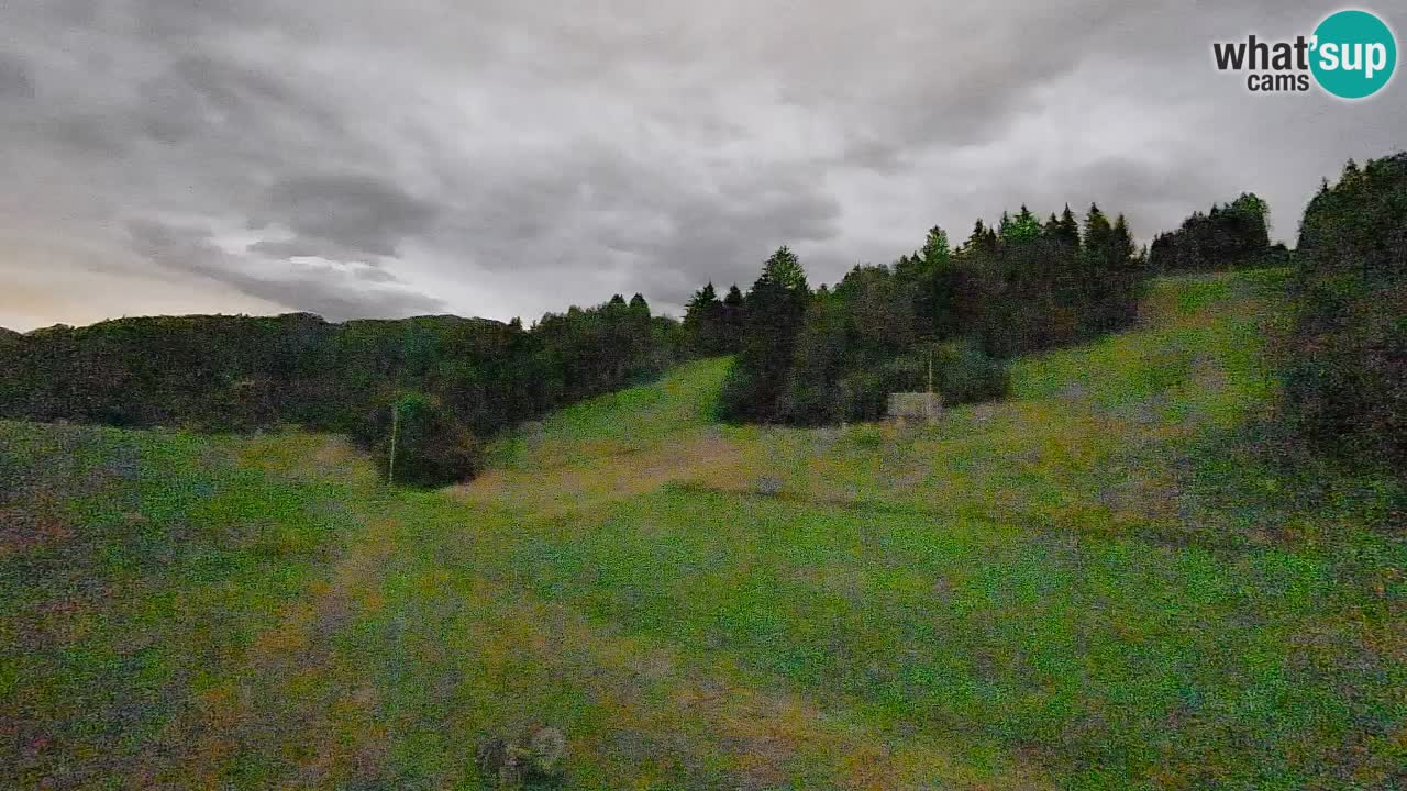 Webcam Smučišče Senožeta – Ski Resort Live View near Bohinj