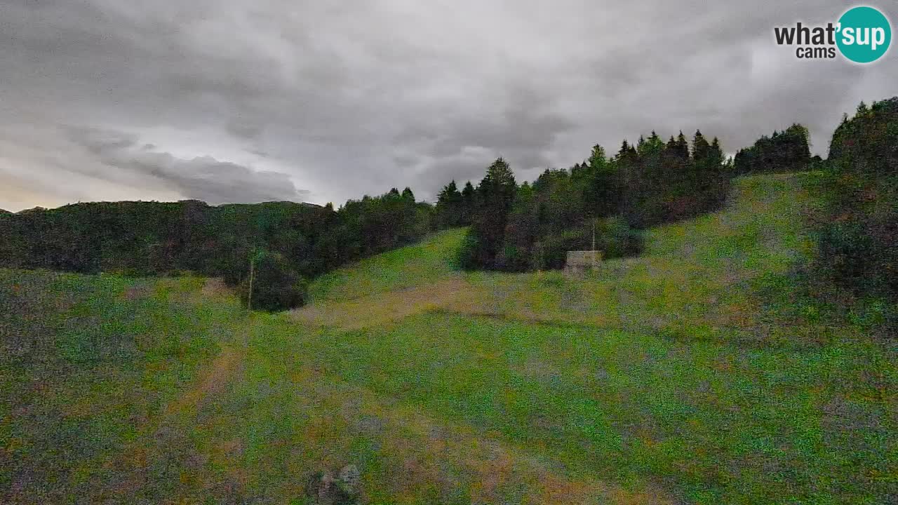Cámara web Smučišče Senožeta – Estación de esquí en Srednja Vas cerca de Bohinj