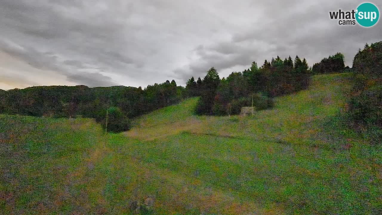 Cámara web Smučišče Senožeta – Estación de esquí en Srednja Vas cerca de Bohinj