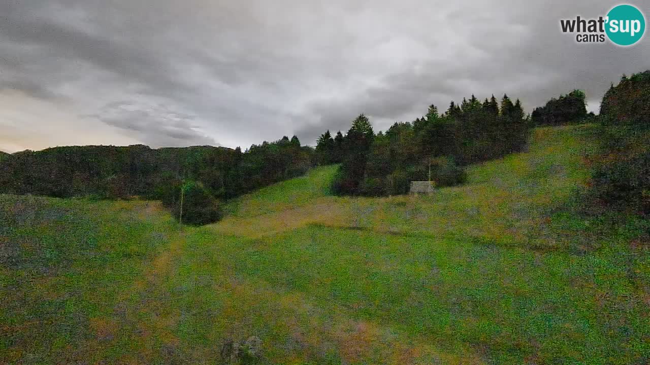 Webcam Smučišče Senožeta – Stazione sciistica a Srednja Vas vicino Bohinj