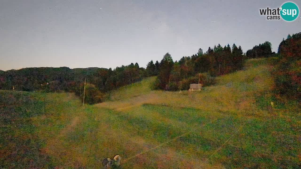 Webcam Smučišče Senožeta – Ski Resort Live View near Bohinj