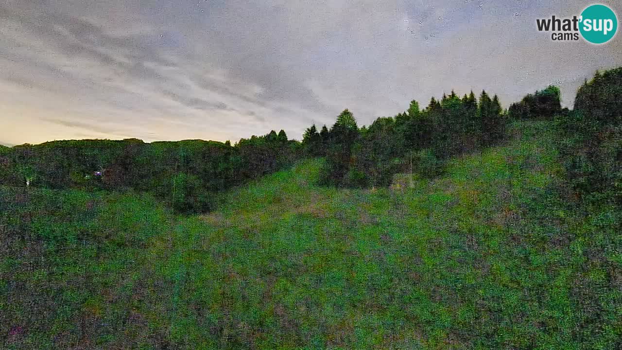 Webcam Smučišče Senožeta – Ski Resort Live View near Bohinj