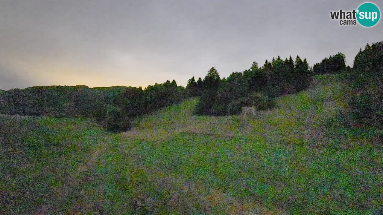 Webcam Smučišče Senožeta – Stazione sciistica a Srednja Vas vicino Bohinj