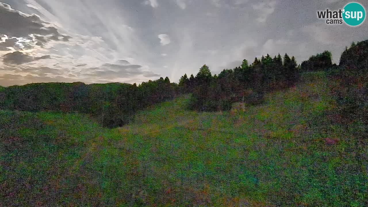 Webcam Smučišče Senožeta – Ski Resort Live View near Bohinj