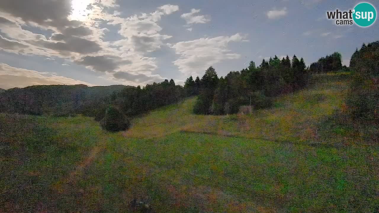 Webcam Smučišče Senožeta – Ski Resort Live View near Bohinj