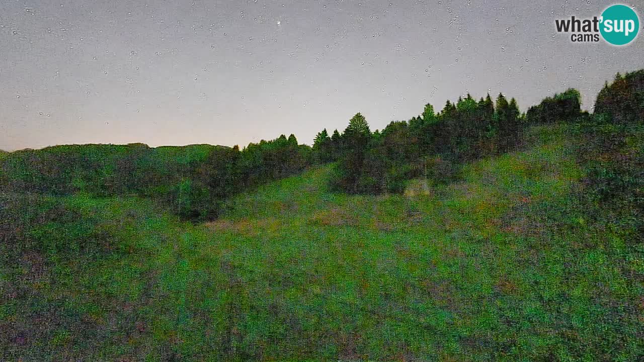 Spletna kamera Smučišče Senožeta – smučarsko središče v Srednji vasi pri Bohinju