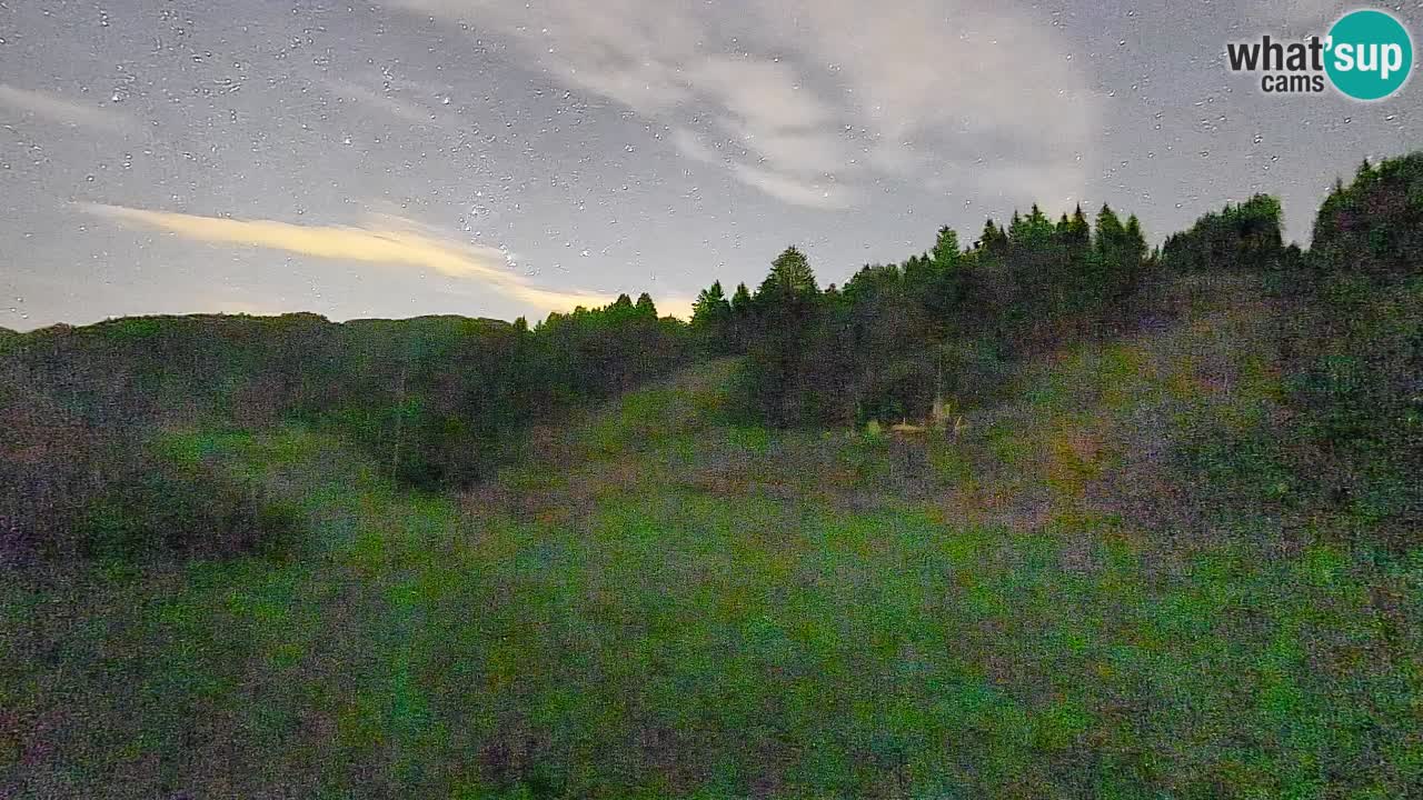 Webcam Smučišče Senožeta – Stazione sciistica a Srednja Vas vicino Bohinj