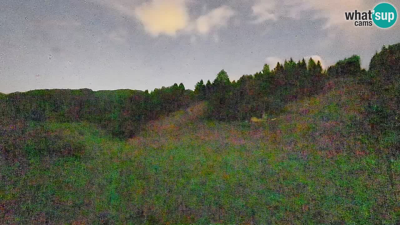 Webcam Smučišče Senožeta – Ski Resort Live View near Bohinj