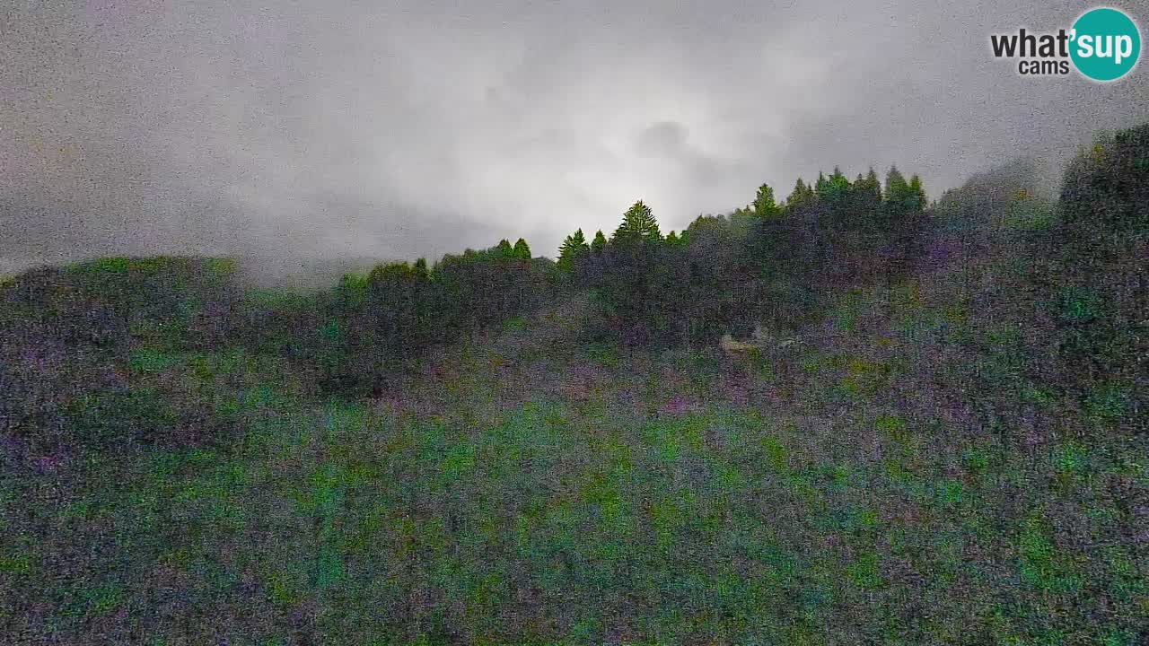 Cámara web Smučišče Senožeta – Estación de esquí en Srednja Vas cerca de Bohinj