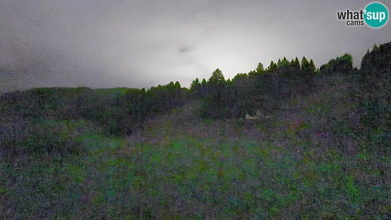 Webcam Smučišče Senožeta – Ski Resort Live View near Bohinj