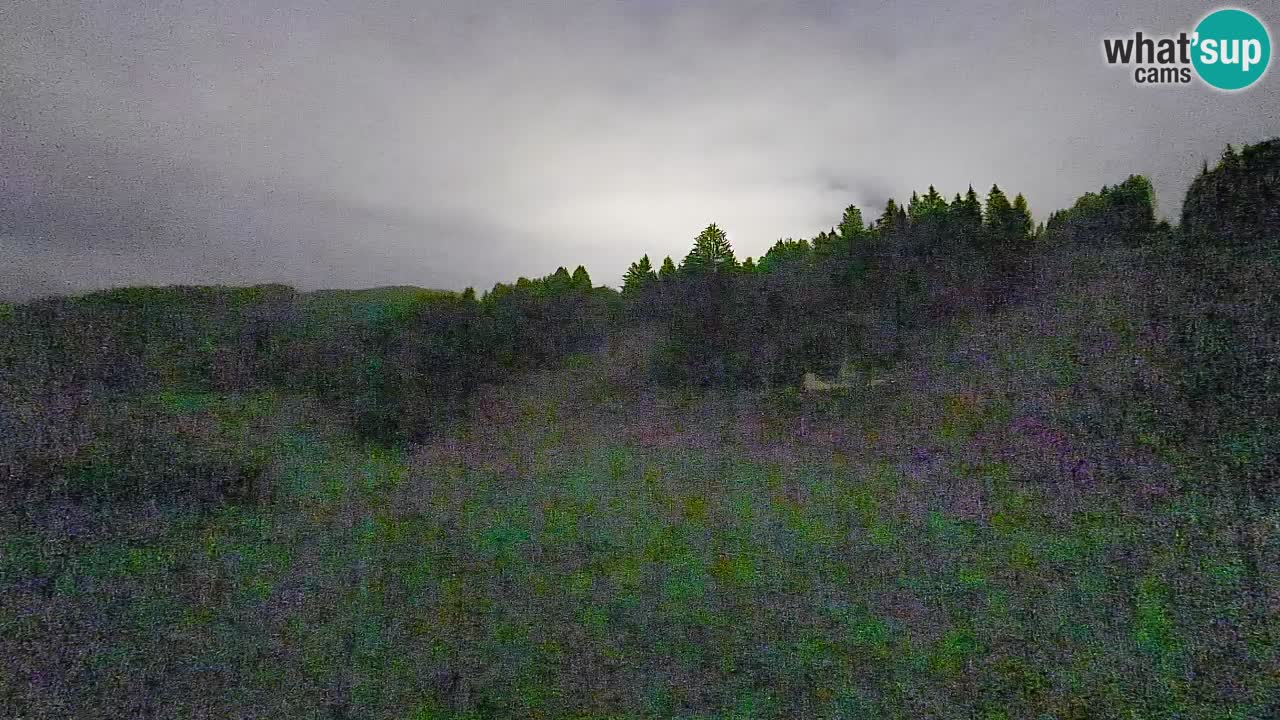 Webcam Smučišče Senožeta – Stazione sciistica a Srednja Vas vicino Bohinj