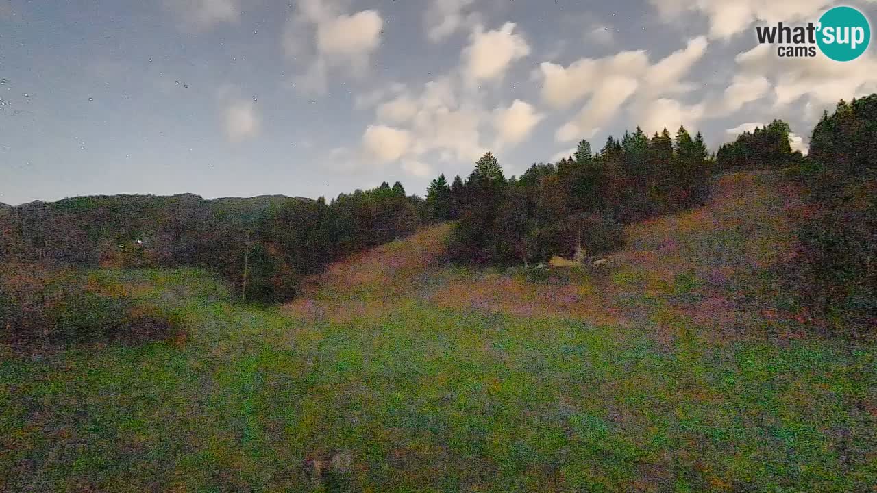 Webcam Smučišče Senožeta – Stazione sciistica a Srednja Vas vicino Bohinj