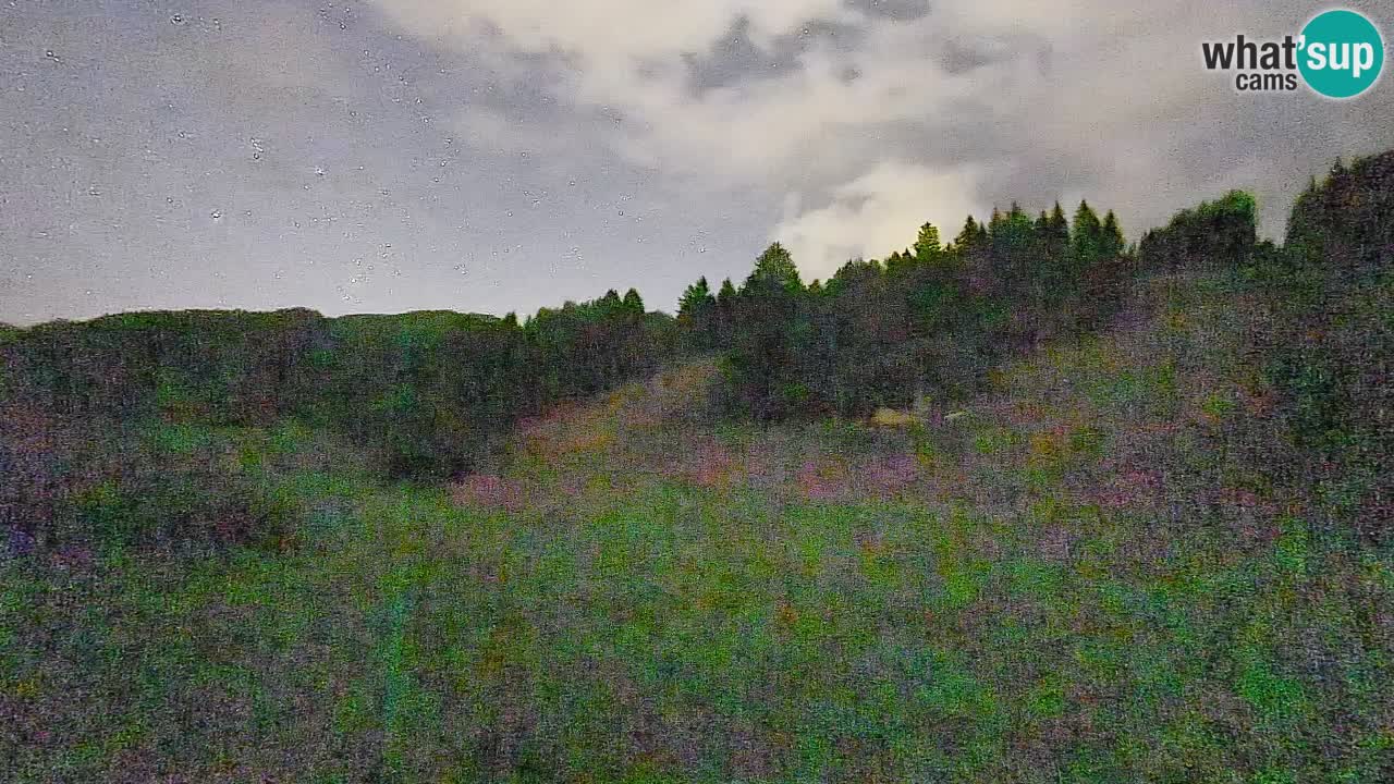 Webcam Smučišče Senožeta – Ski Resort Live View near Bohinj