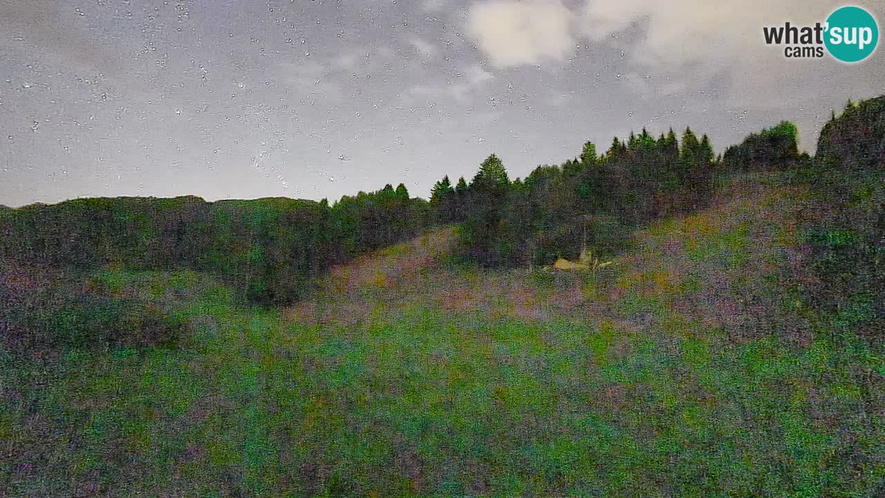 Webcam Smučišče Senožeta – Ski Resort Live View near Bohinj