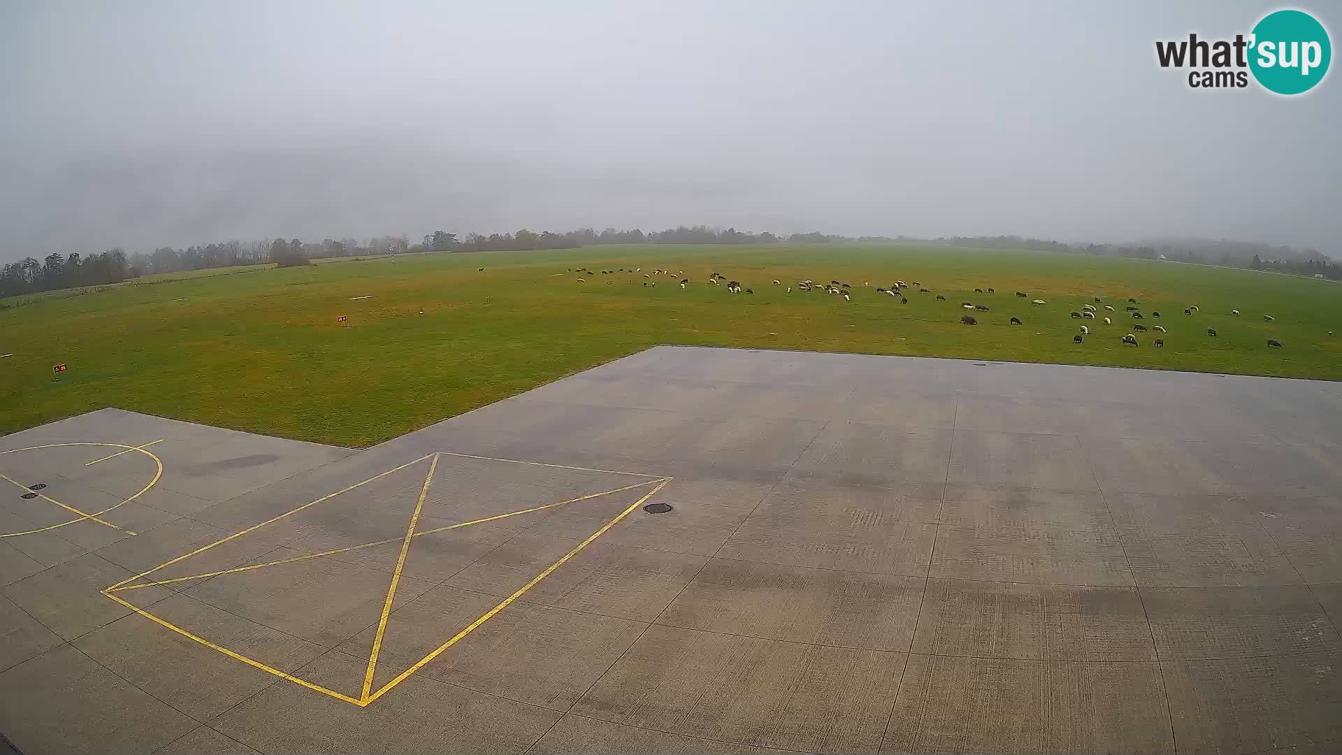 Webcam aereoporto di Bovec (Plezzo) – Vista verso il Kanin