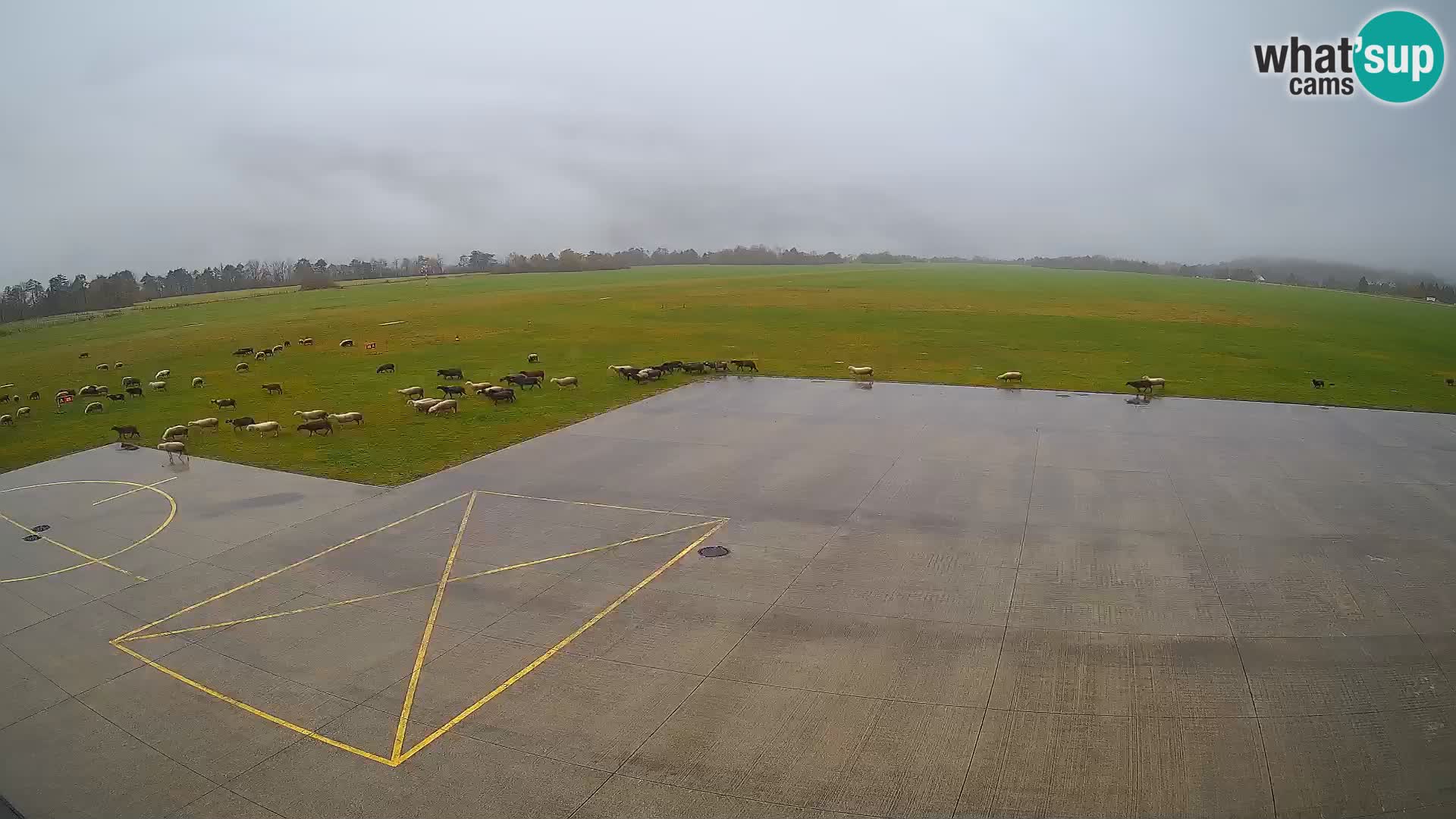 Bovec airport webcam – Skydive Bovec