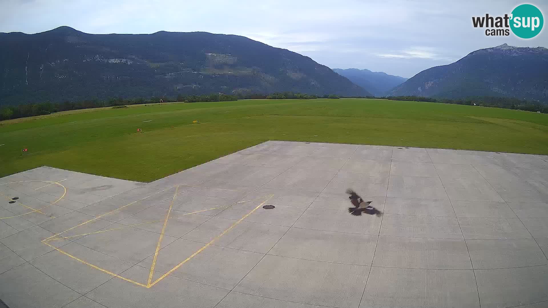Bovec spletna kamera letališče – Skydive Bovec