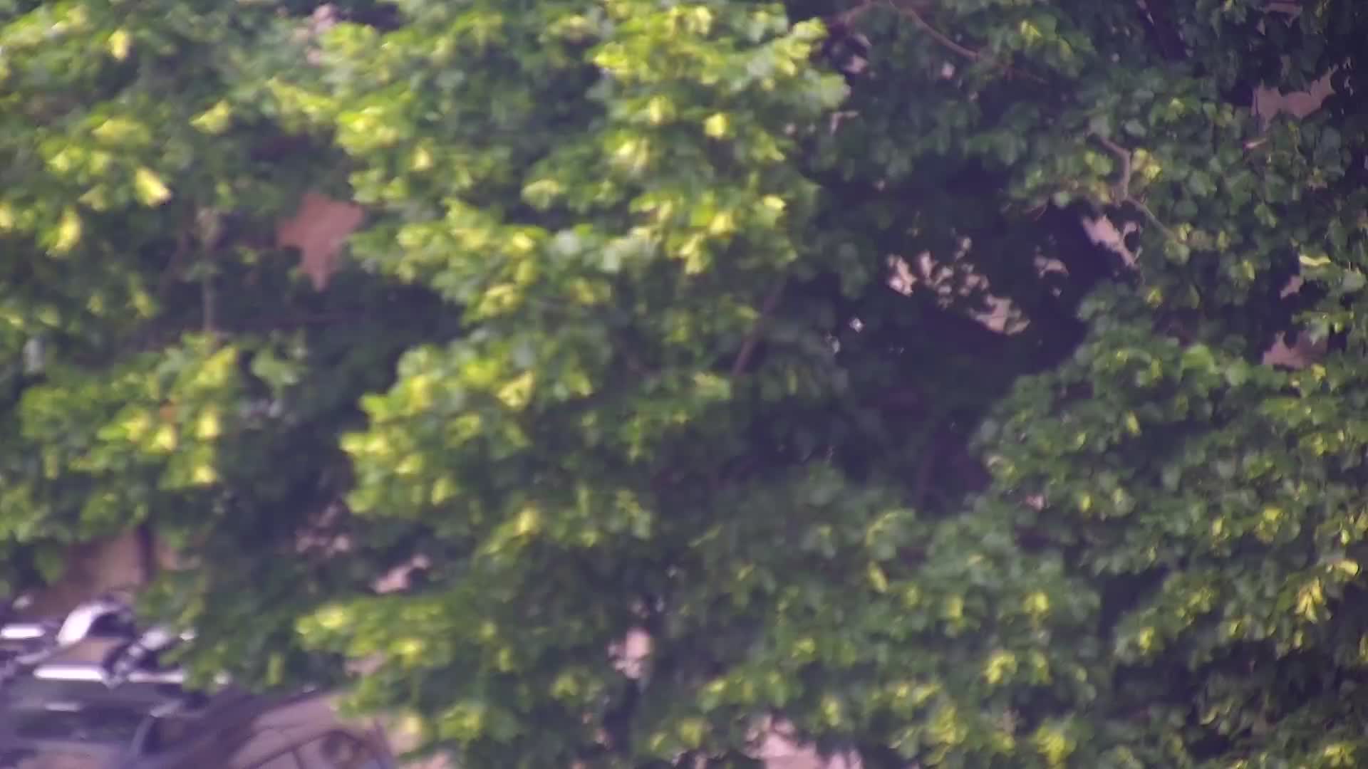 LIVE San Martino webcam Collio – Hotel San Martin