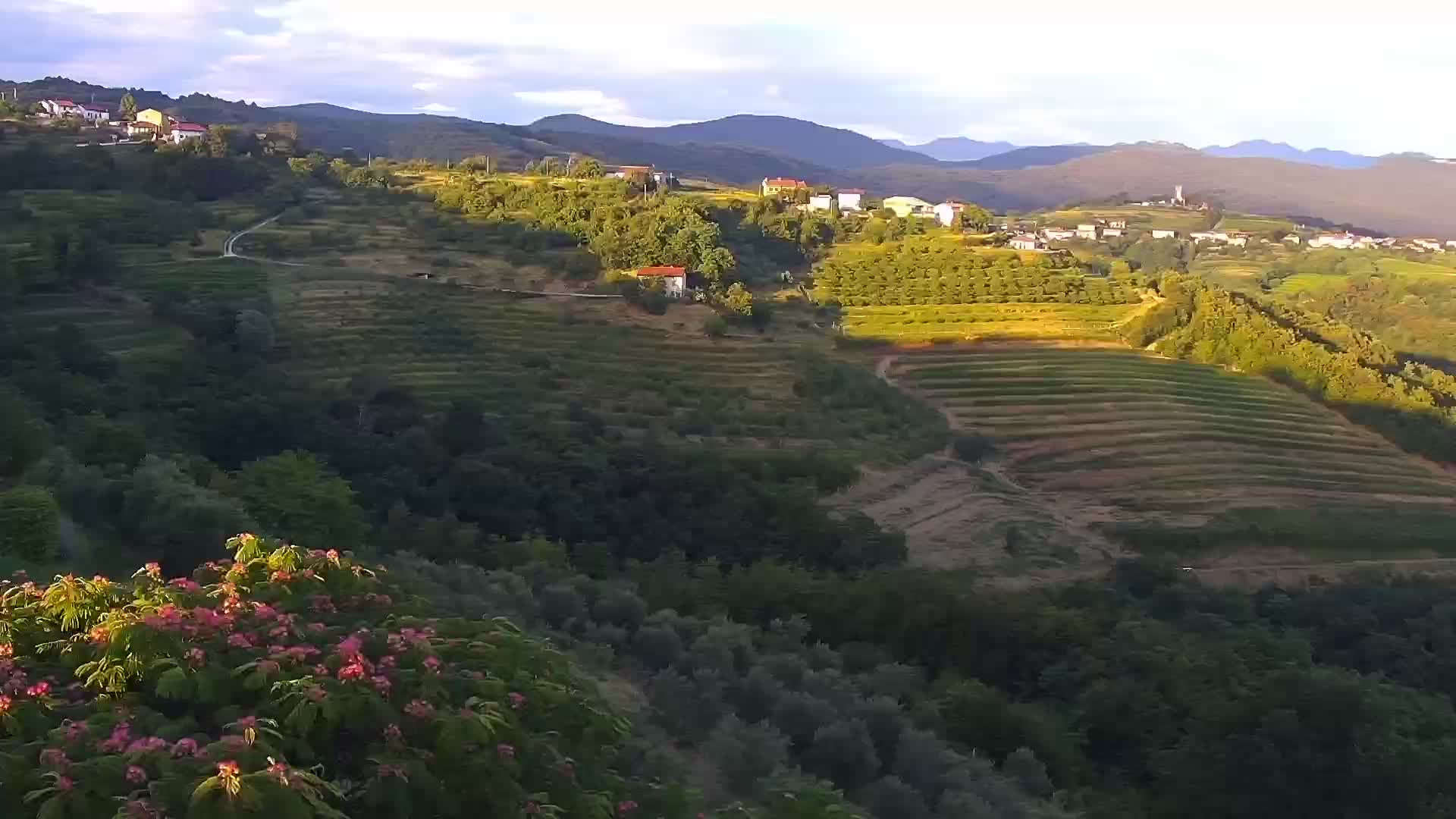 Camera en vivo Šmartno Brda – Hotel San Martin