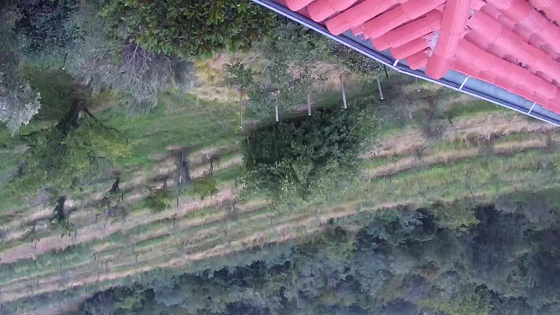 Camera en vivo Šmartno Brda – Hotel San Martin
