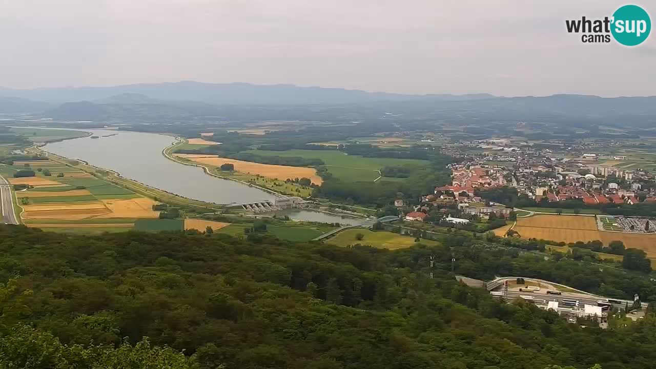 Brežice – Panoramic view from sv. Vid