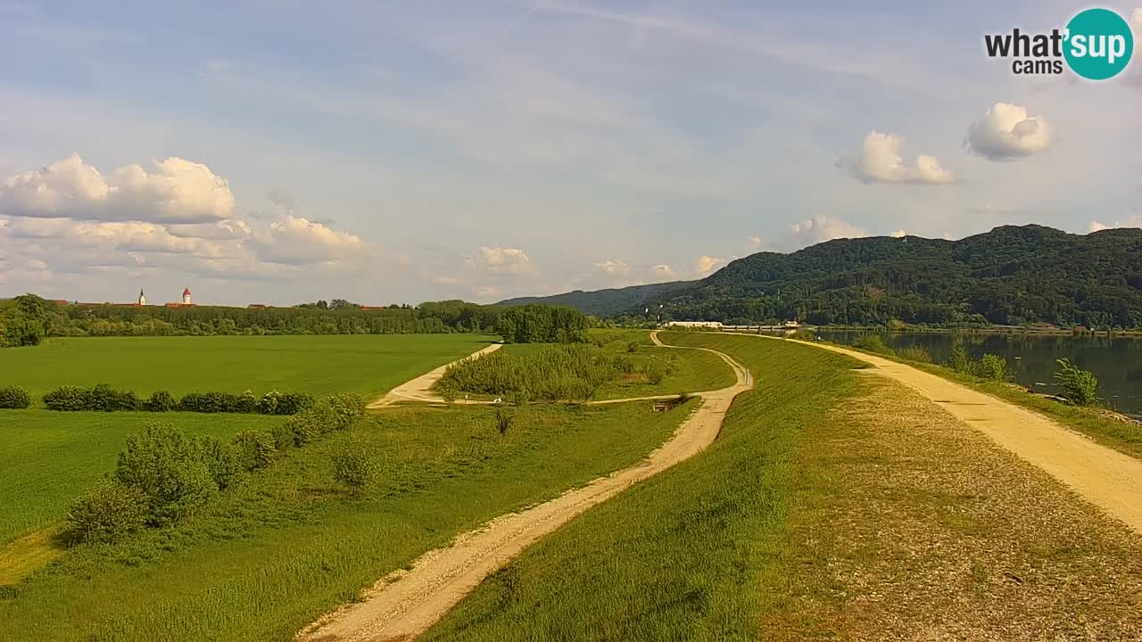 Live Webcam Brežice lake on Sava river – Slovenia