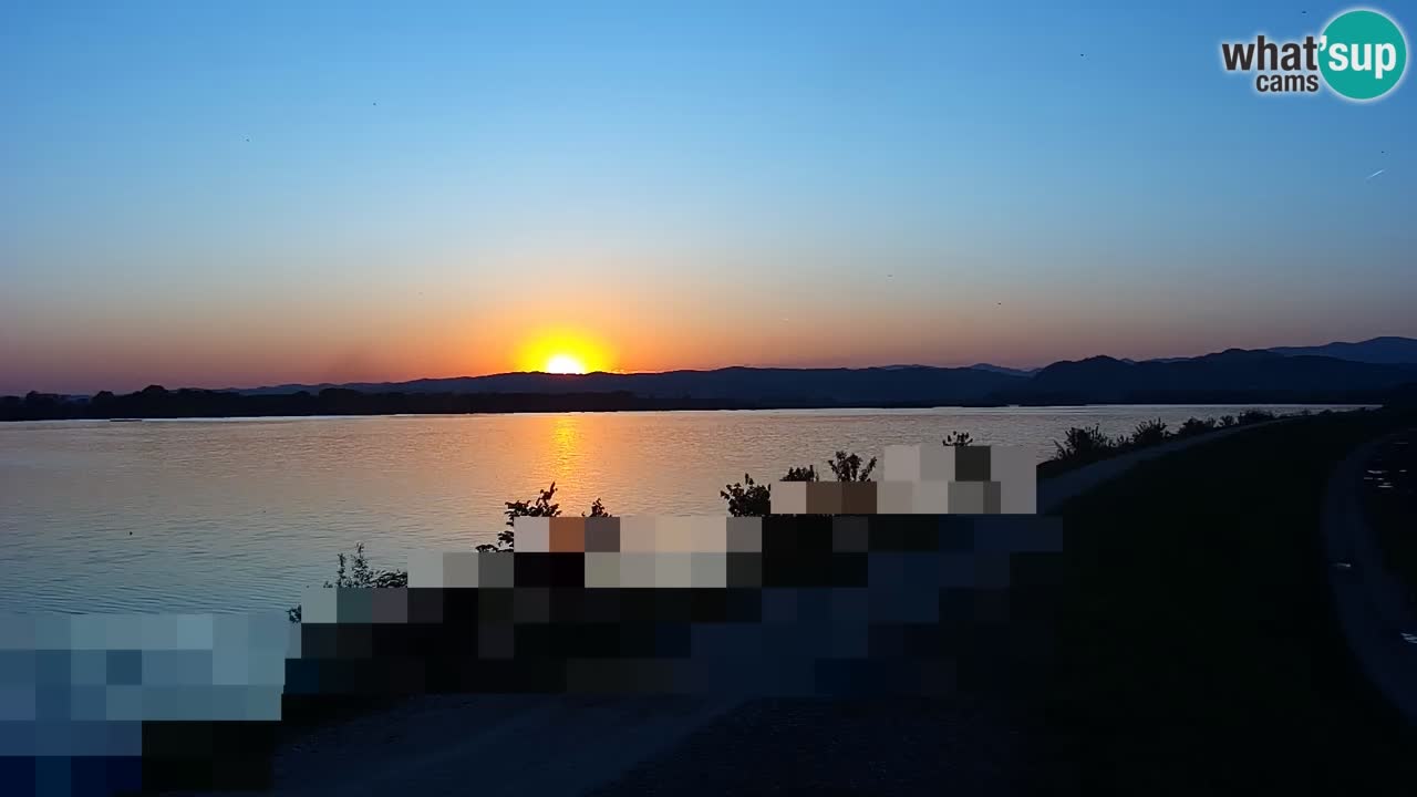 Web kamera uživo Jezero Brežice na rijeci Savi – Slovenija