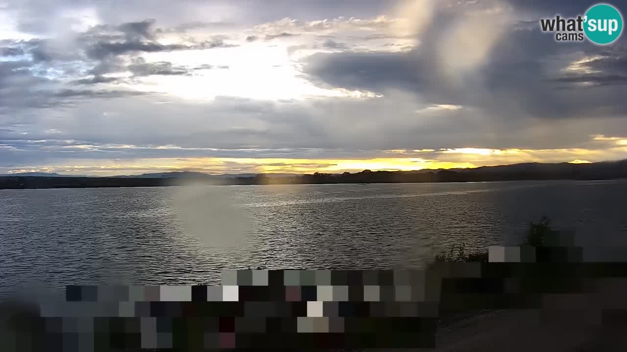 Web kamera uživo Jezero Brežice na rijeci Savi – Slovenija