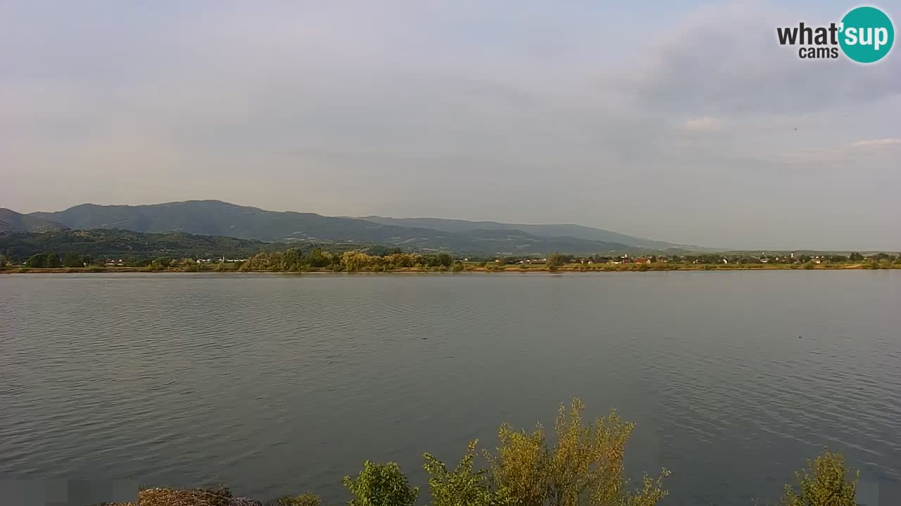 Spletna kamera v živo Brežiško jezero na reki Savi – Slovenija