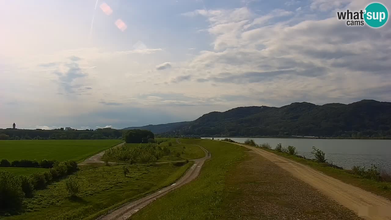 Live Webcam Brežice lake on Sava river – Slovenia