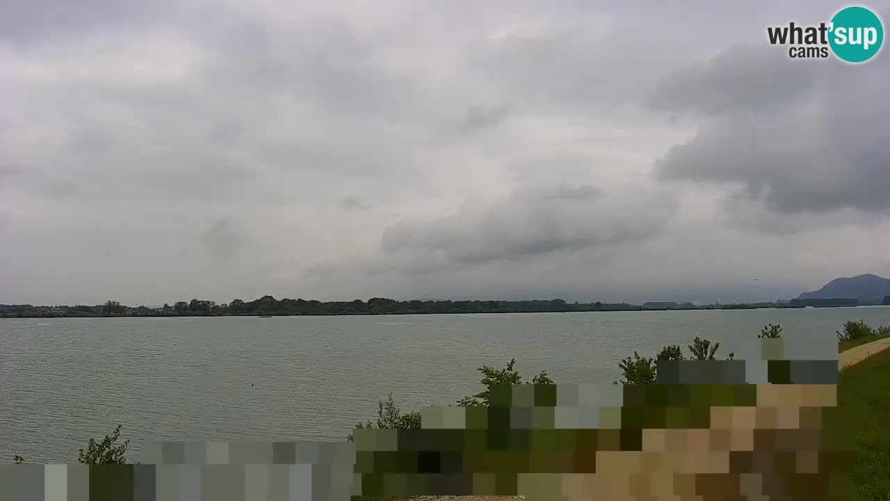 Webcam en vivo lago Brežice en el río Sava – Eslovenia