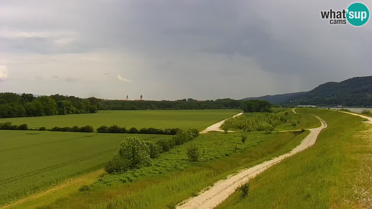 Webcam en direct Lac Brežice sur la rivière Sava – Slovénie
