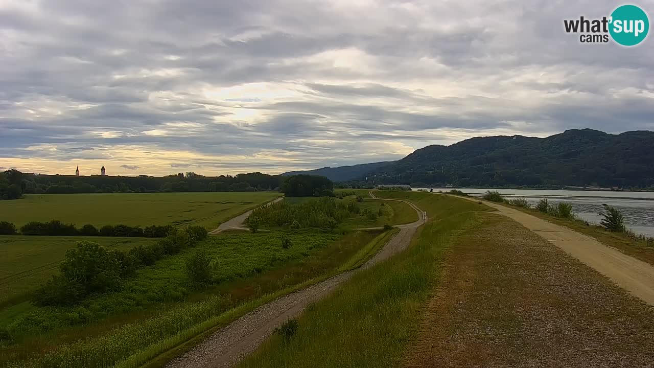 Live Webcam Brežice See am Fluss Sava – Slowenien
