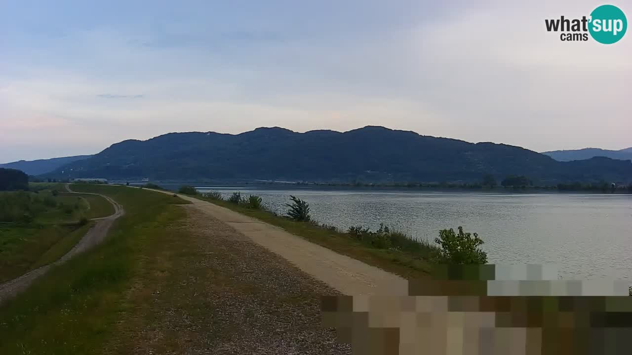 Live Webcam Brežice See am Fluss Sava – Slowenien