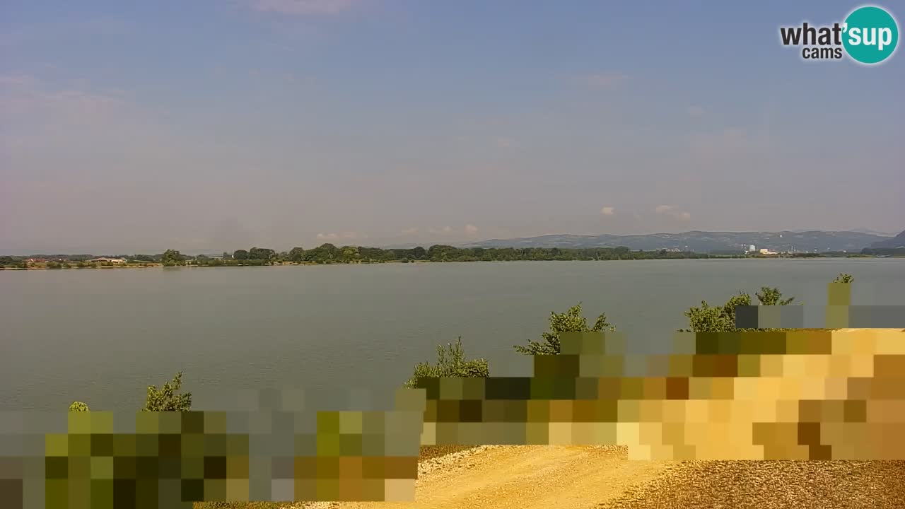 Spletna kamera v živo Brežiško jezero na reki Savi – Slovenija