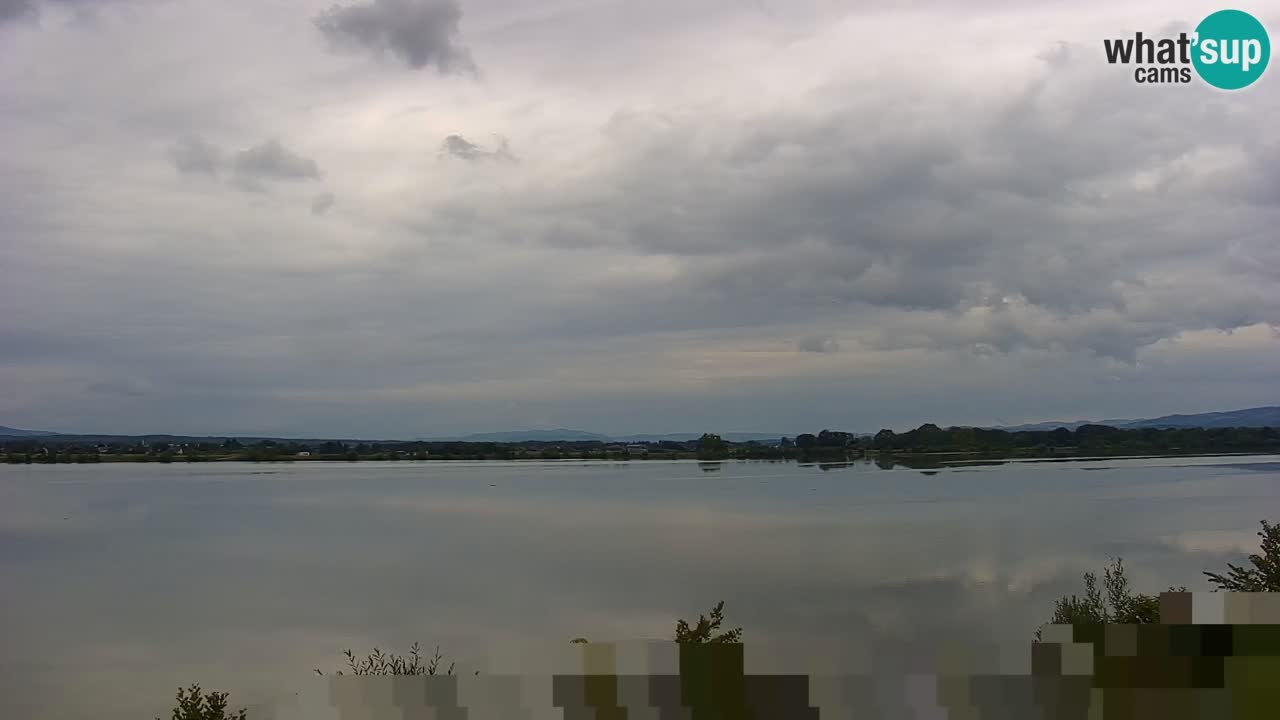 Webcam en vivo lago Brežice en el río Sava – Eslovenia