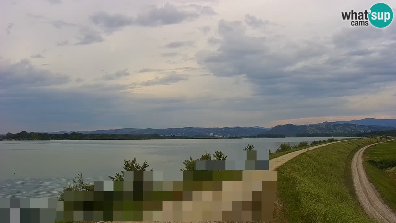 Live Webcam Lago di Brežice sul fiume Sava – Slovenia