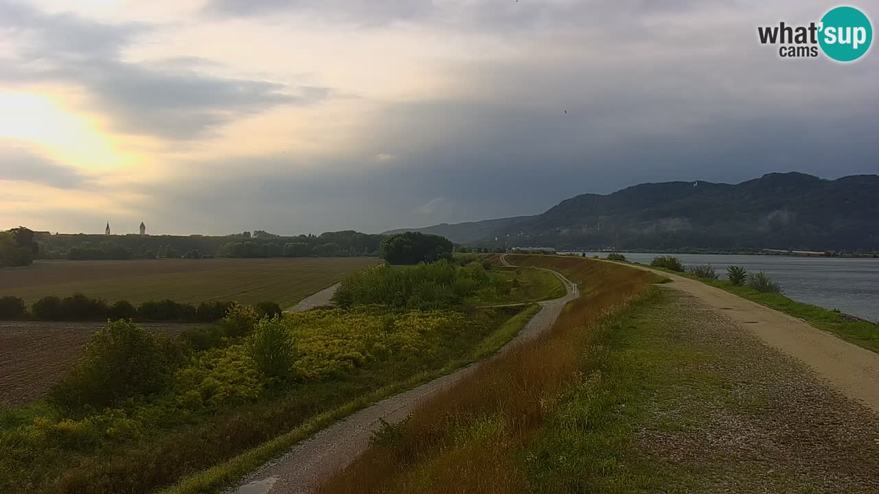 Live Webcam Brežice See am Fluss Sava – Slowenien