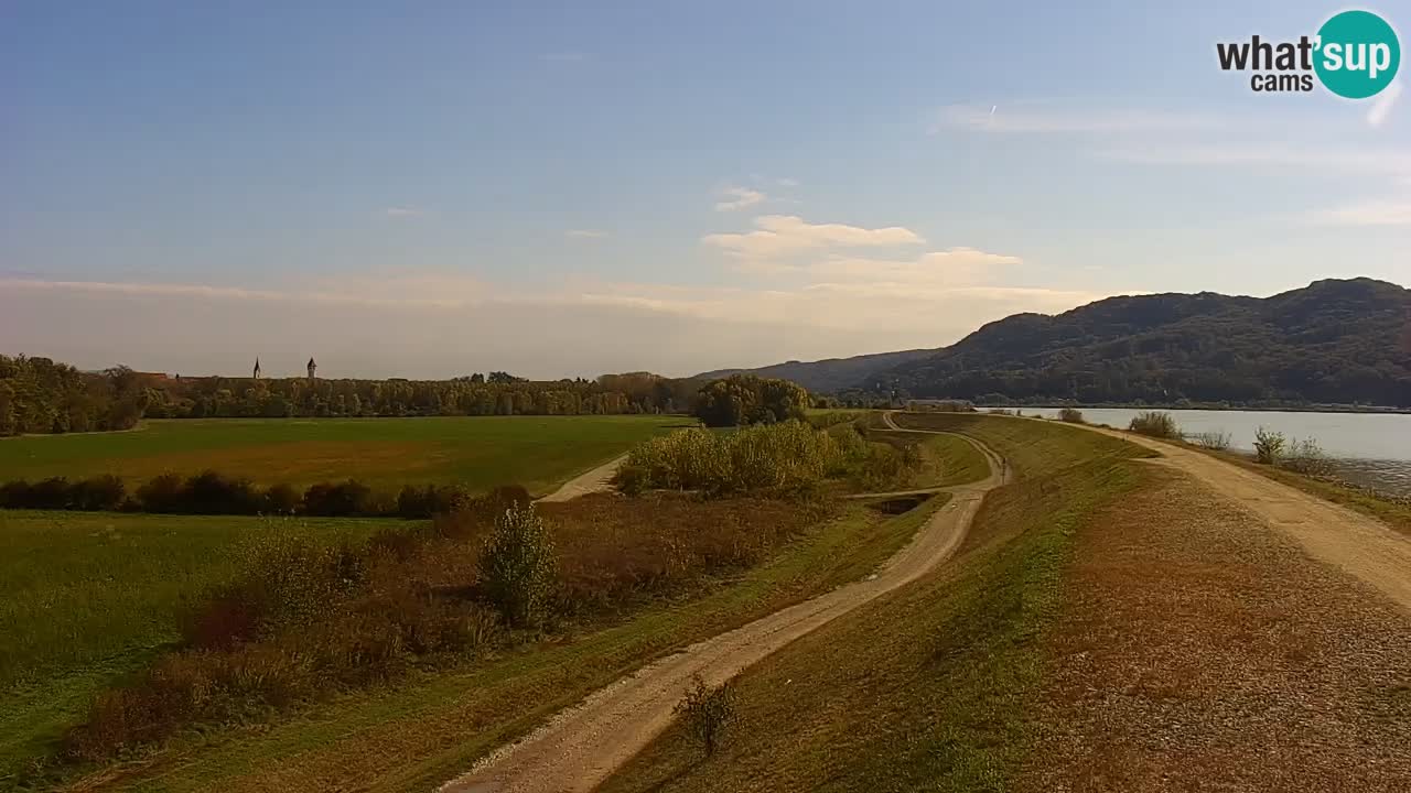 Spletna kamera v živo Brežiško jezero na reki Savi – Slovenija