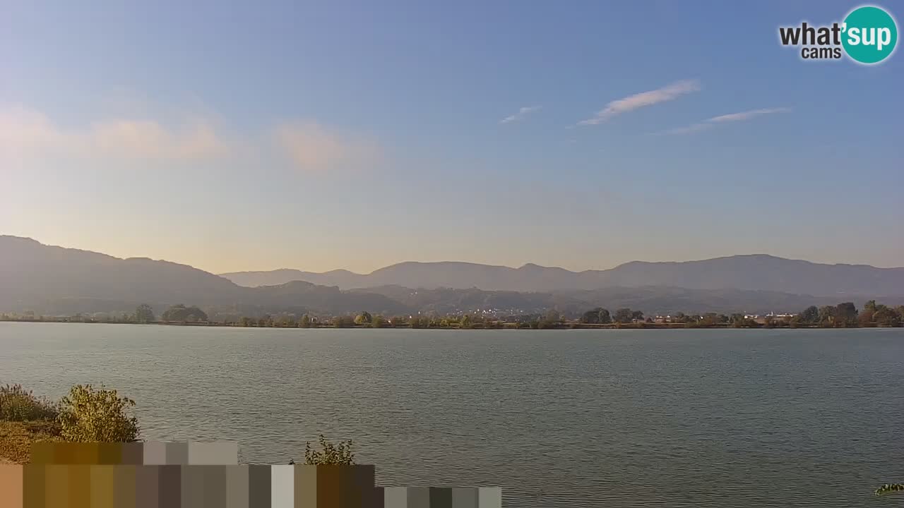 Live Webcam Brežice lake on Sava river – Slovenia