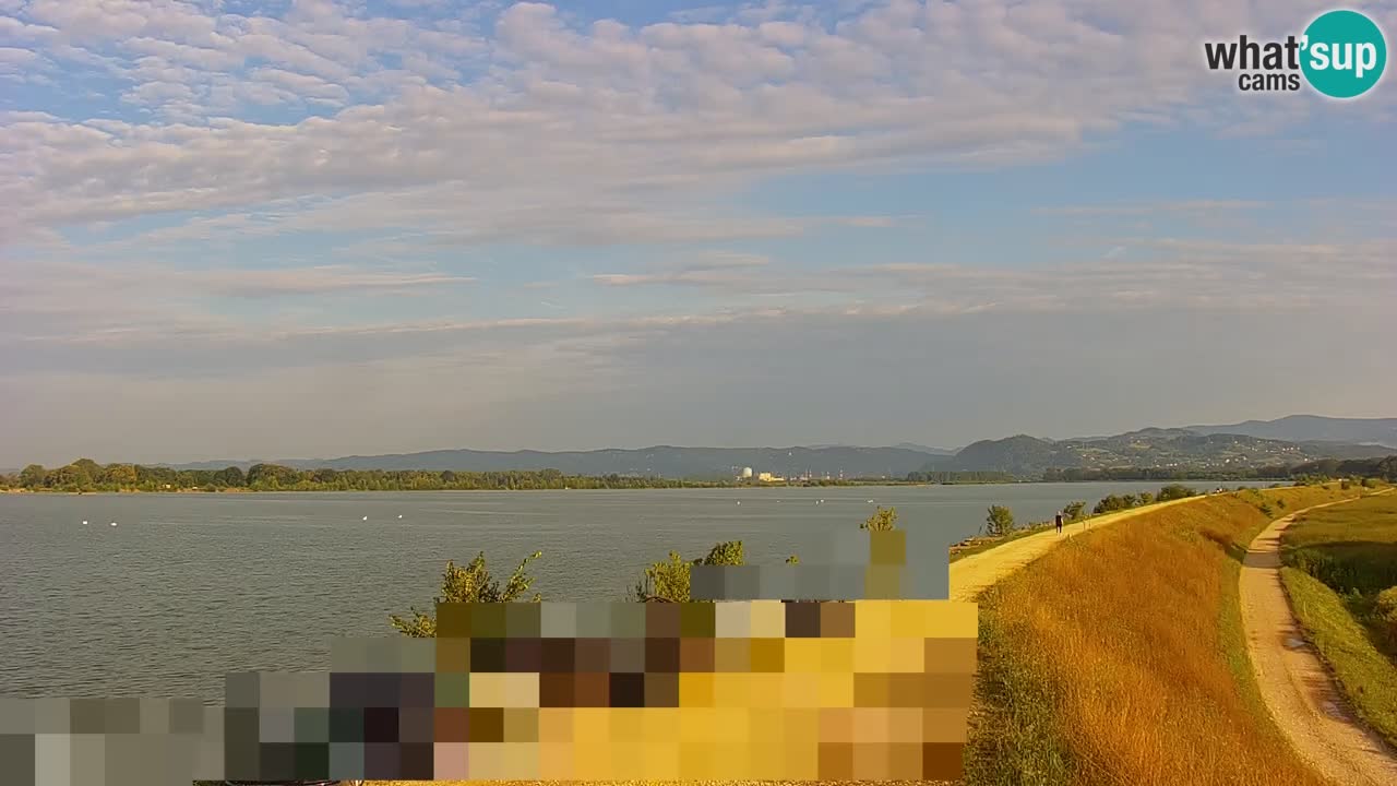 Live Webcam Brežice lake on Sava river – Slovenia